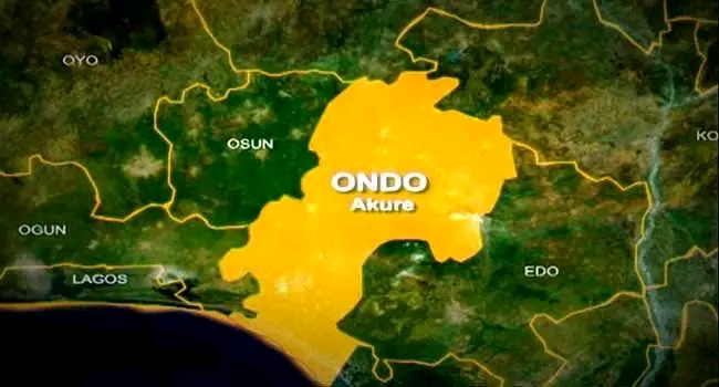 Seven abducted Ondo farmers regain freedom
